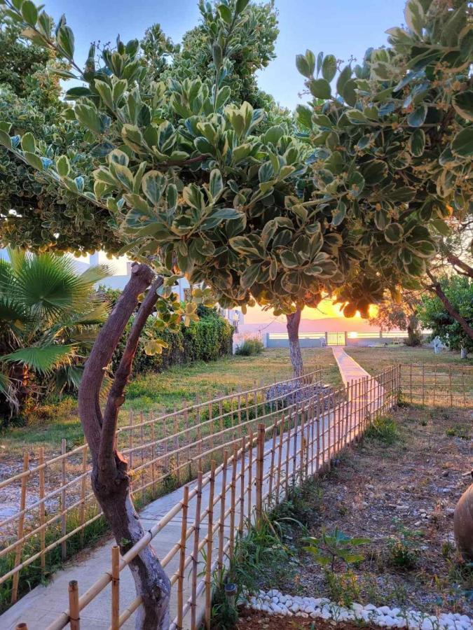 Villamare Nerantza ภายนอก รูปภาพ